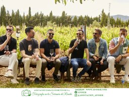 Festival Mar de Tethys 2026 - Bodega Vetas